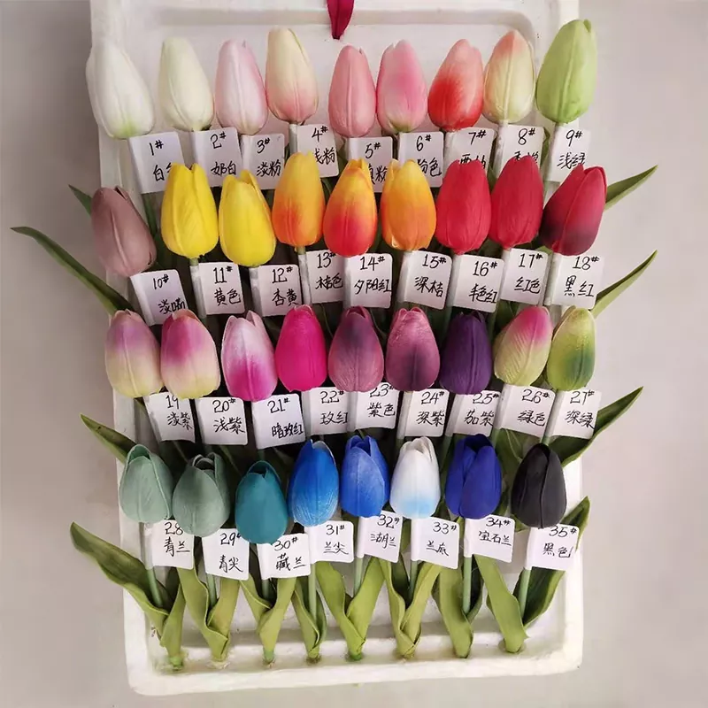 Modernong disenyo ng panloob na bulaklak