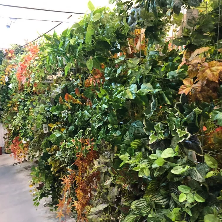 Artipisyal na Ivy Plant