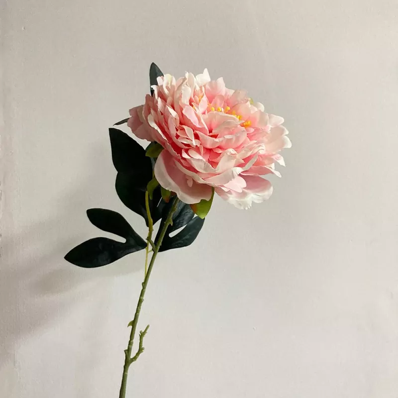 Mahabang solong stem pekeng peony