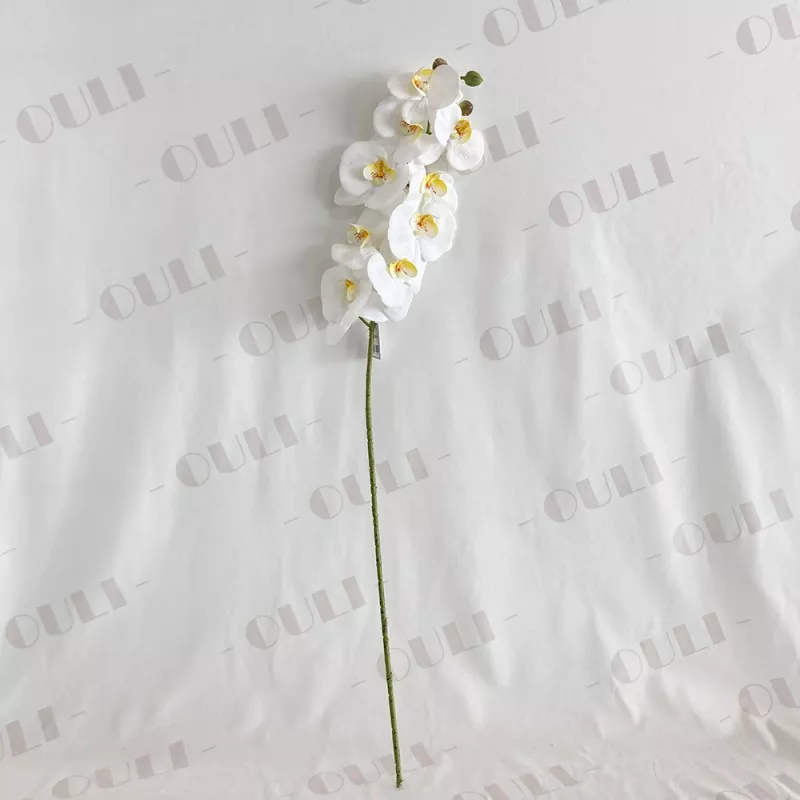 Tunay na hawakan ang pekeng orchid